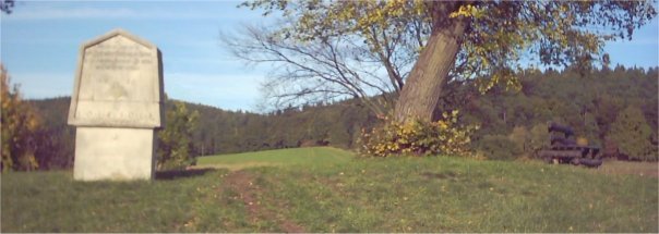 Der Weinberg in Krauthausen